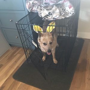 Meet your Posher, Jeff